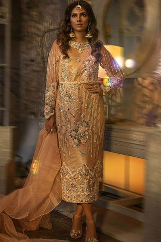 Shimmer  Signature Motifs