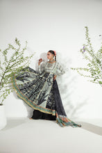 Load image into Gallery viewer, Chandni

