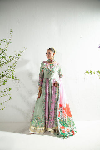Shafaq