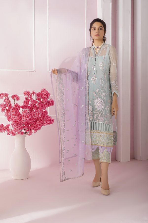 Kanwal Organza and Silk Dress