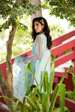 Load image into Gallery viewer, AMN lawn Suit with Organza Dupatta
