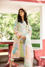 Load image into Gallery viewer, Amn Embroidery Suits with Organza Dupatta
