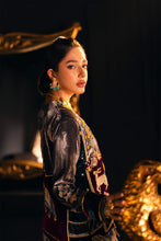 Load image into Gallery viewer, Zarafshan Pure Velvet Dress
