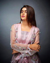 Load image into Gallery viewer, Darakshan Raw Silk Embroidery Dress
